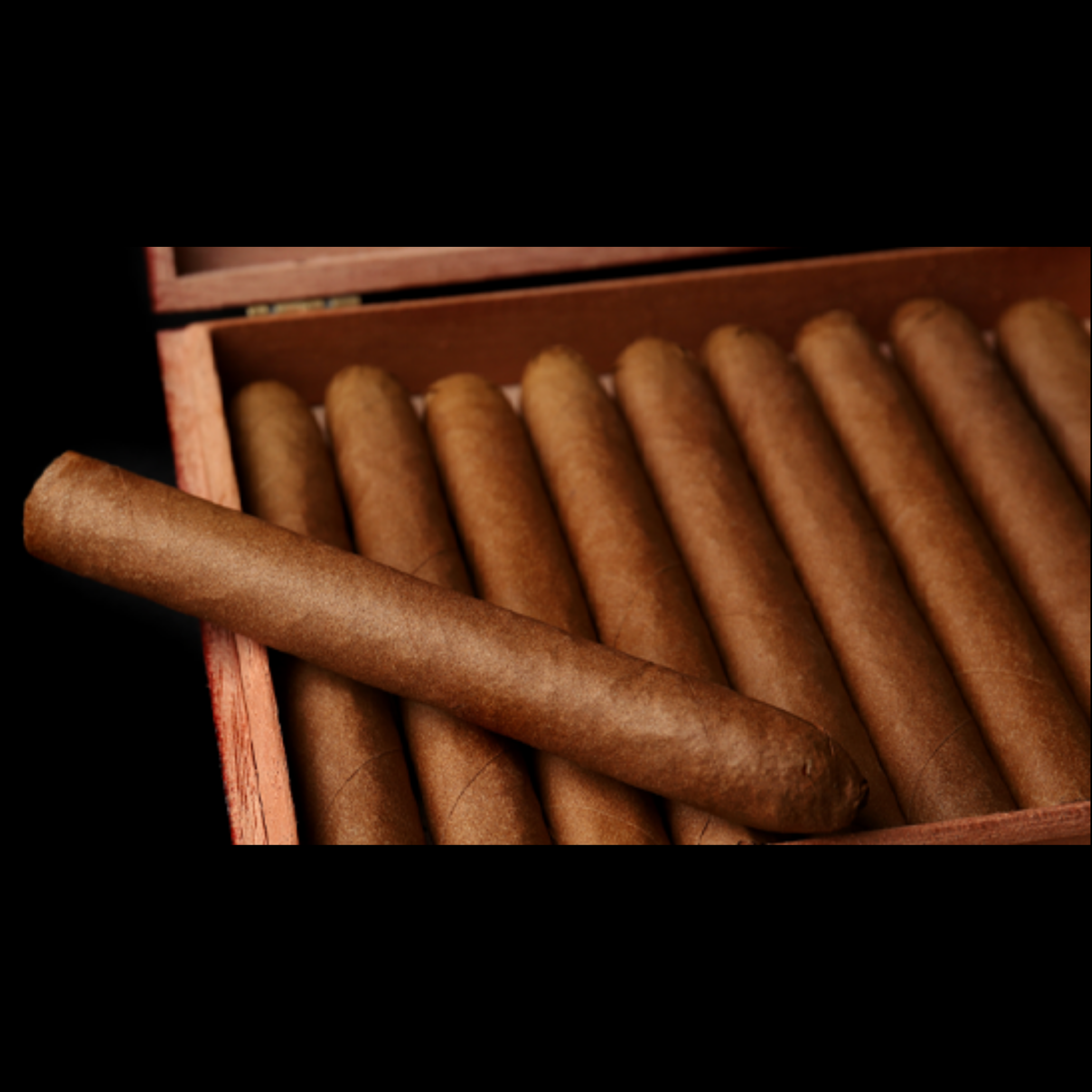 Humidors – Della Monica